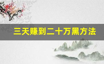 三天赚到二十万黑方法_谁想挣钱 联系我